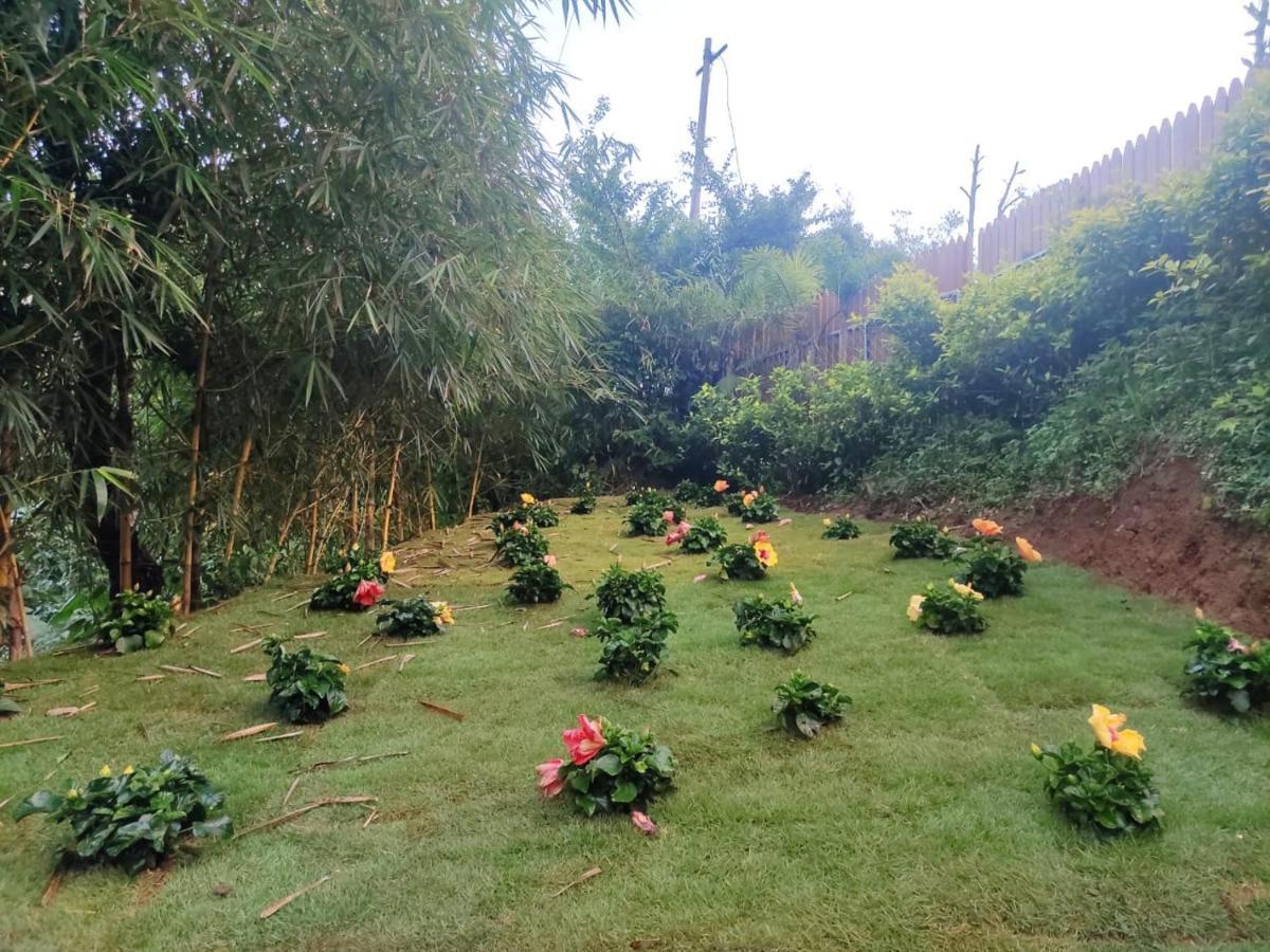 Misty Rain Estate Hotel Madikeri Eksteriør billede