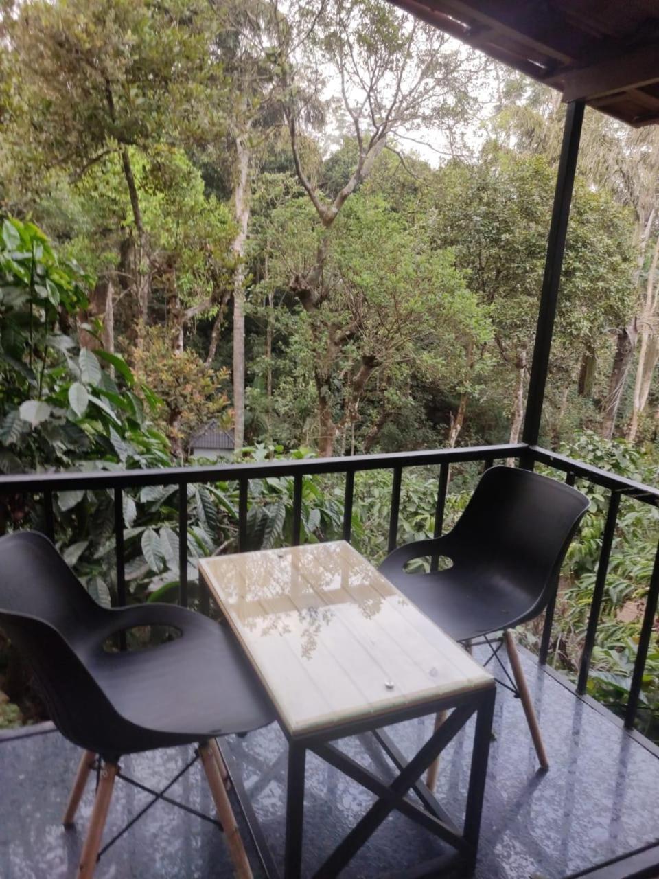 Misty Rain Estate Hotel Madikeri Eksteriør billede