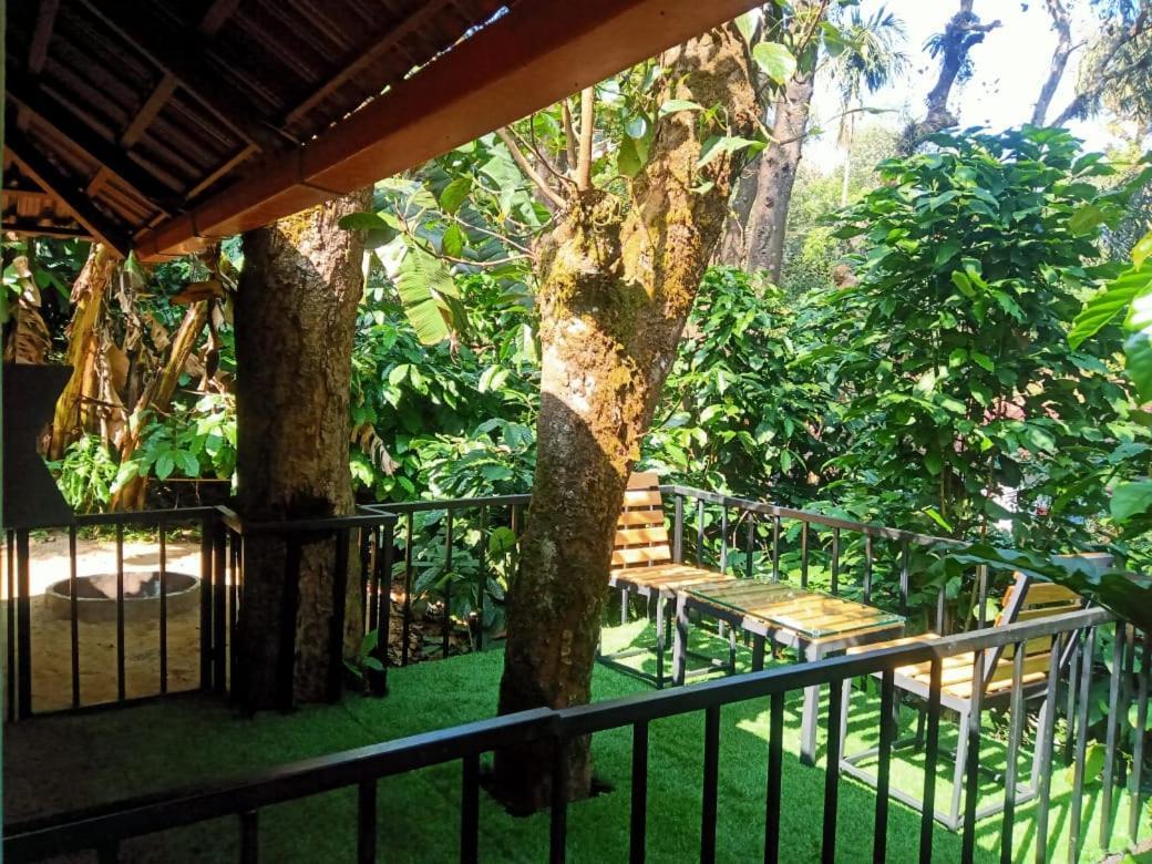 Misty Rain Estate Hotel Madikeri Eksteriør billede