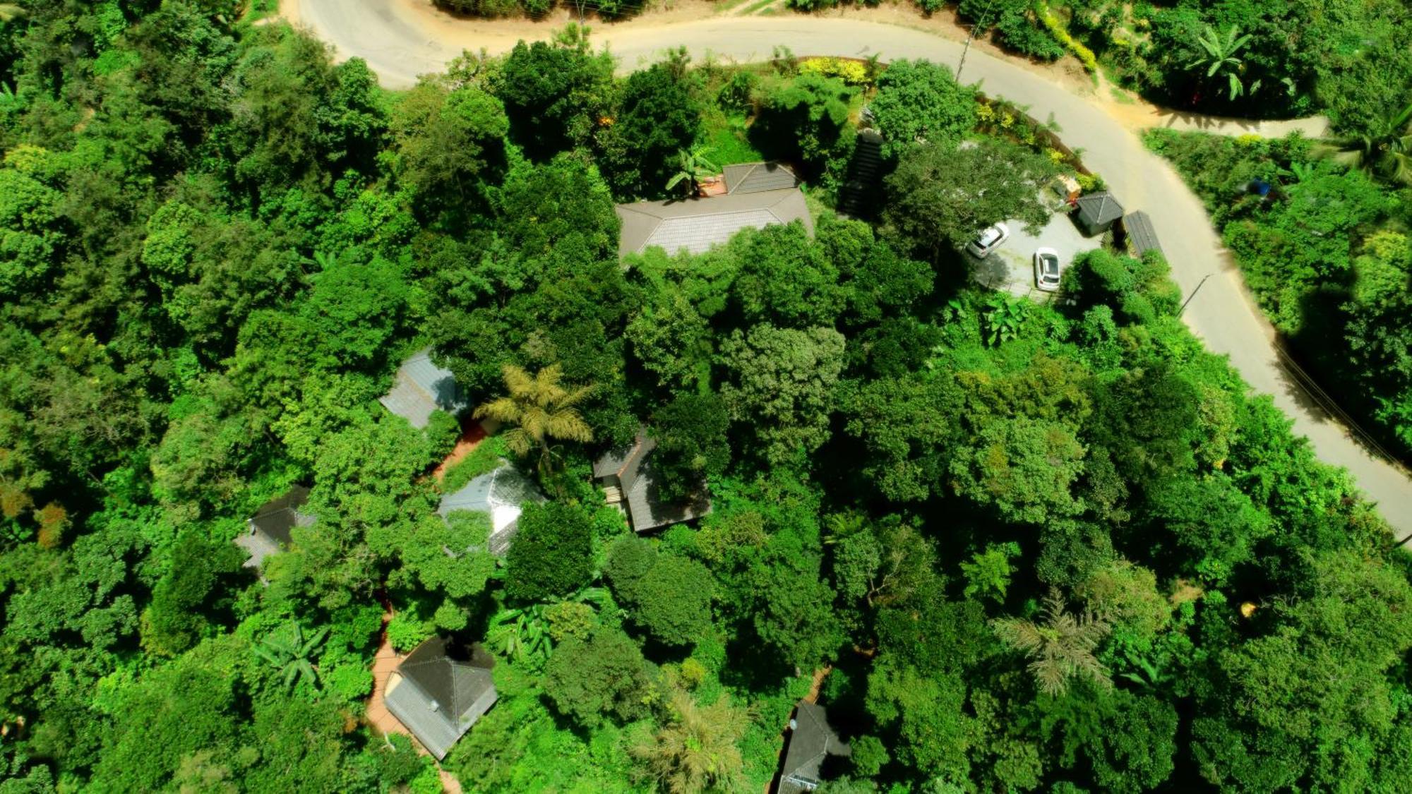 Misty Rain Estate Hotel Madikeri Eksteriør billede