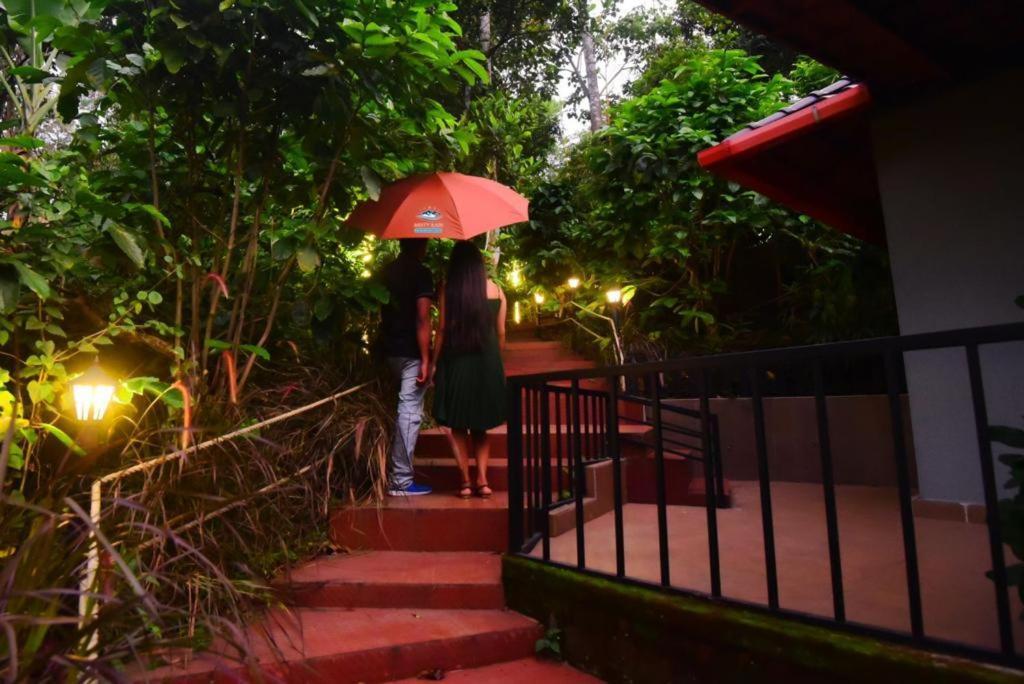Misty Rain Estate Hotel Madikeri Eksteriør billede