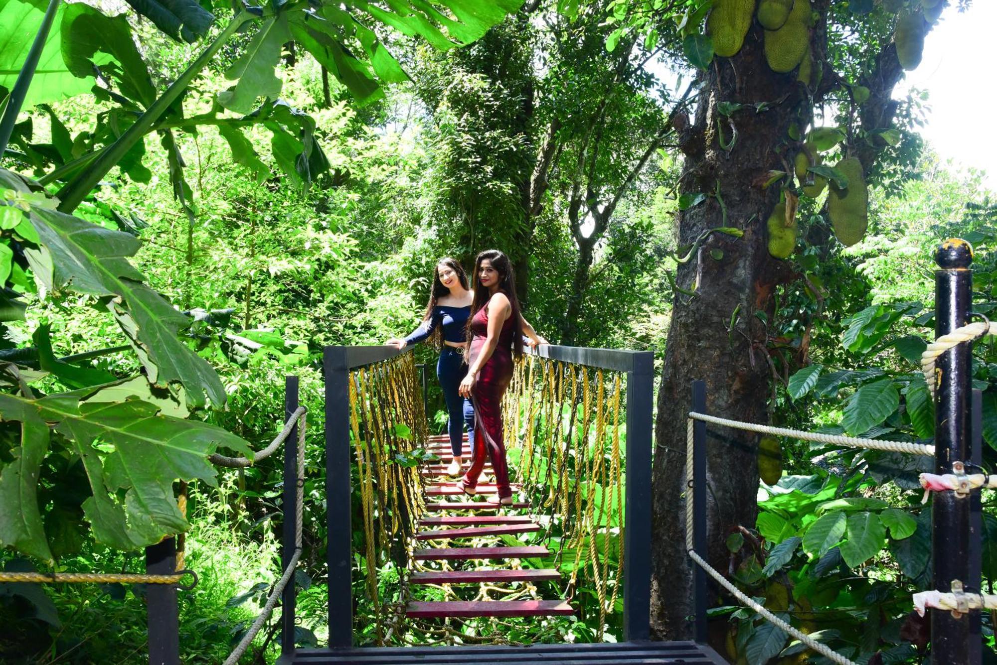 Misty Rain Estate Hotel Madikeri Eksteriør billede