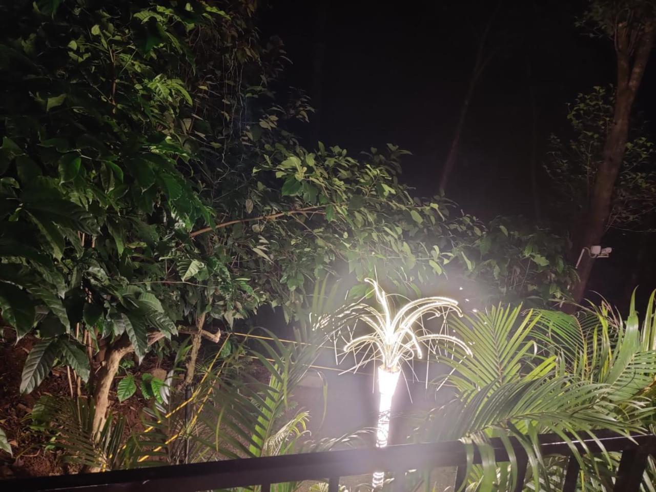 Misty Rain Estate Hotel Madikeri Eksteriør billede